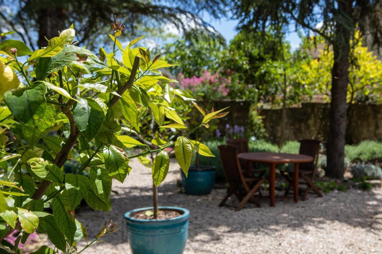 Le Jardin De Mazan B&B 외부 사진